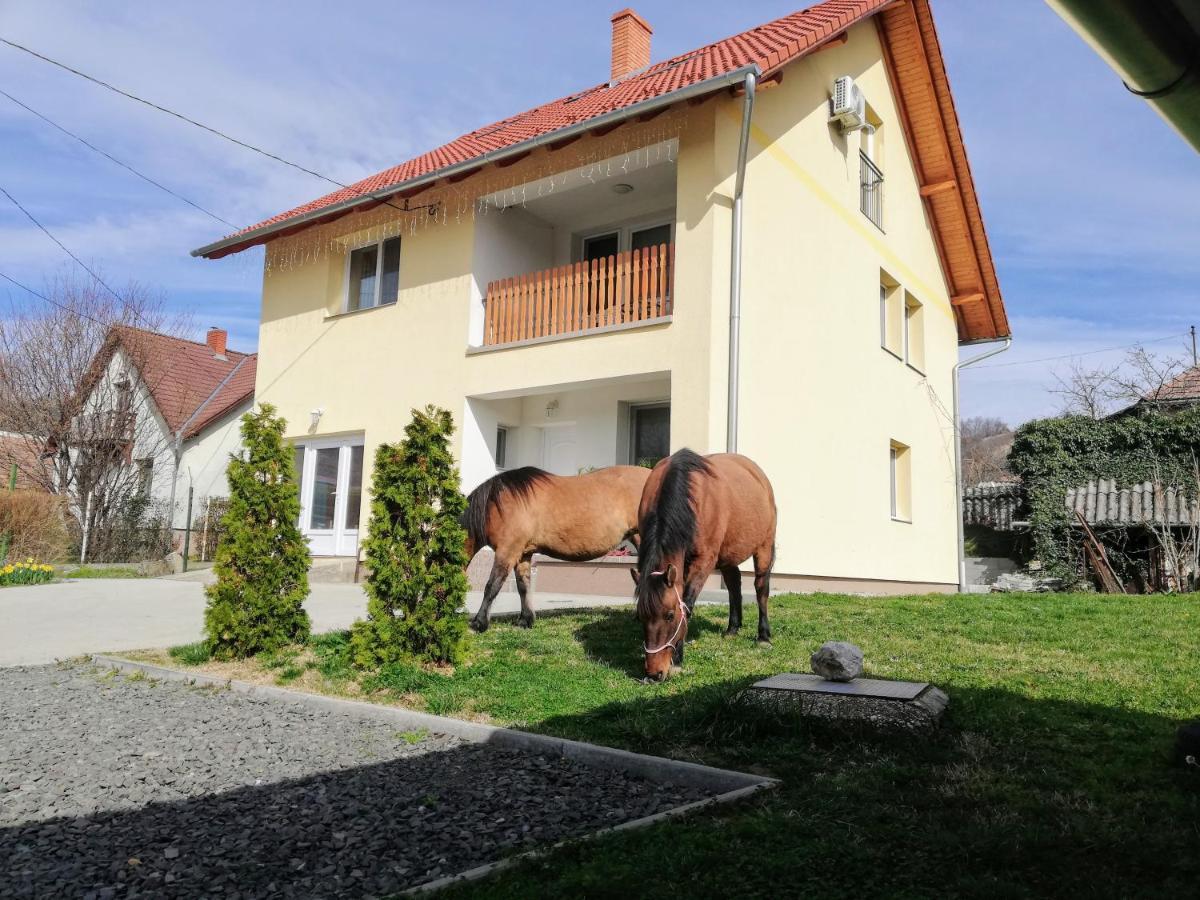 Lotuszvirag Vendeghaz Hotel Szekszárd Exterior foto